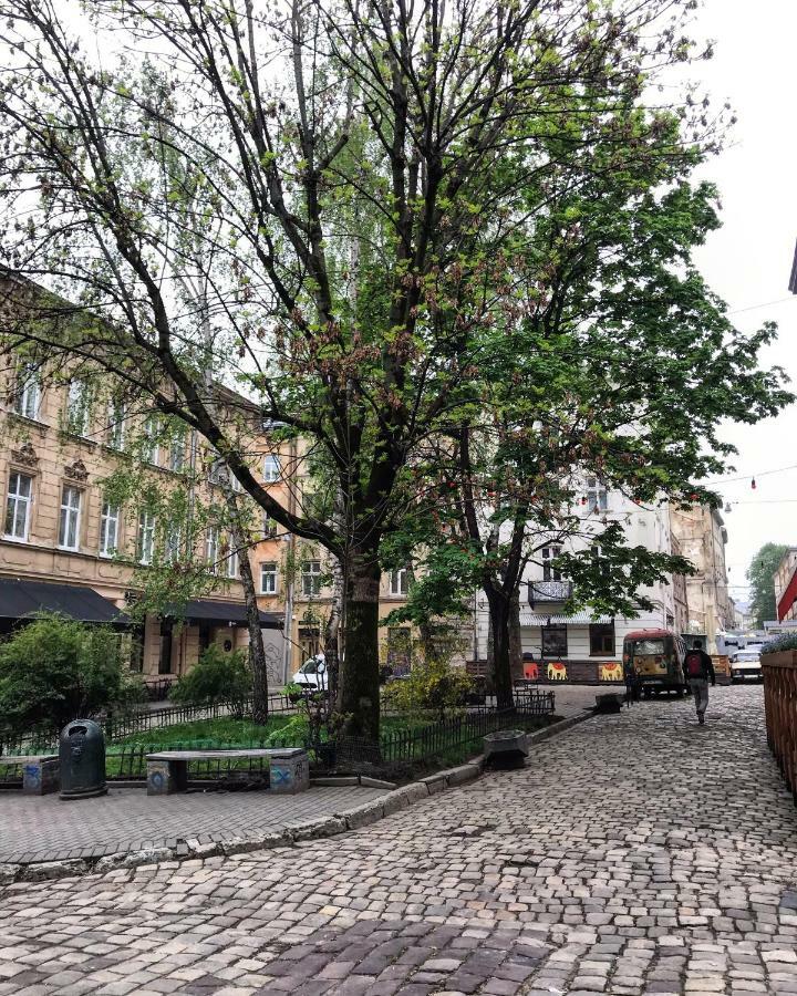 Vip Apartment Ploscha Rynok Lviv Exteriör bild